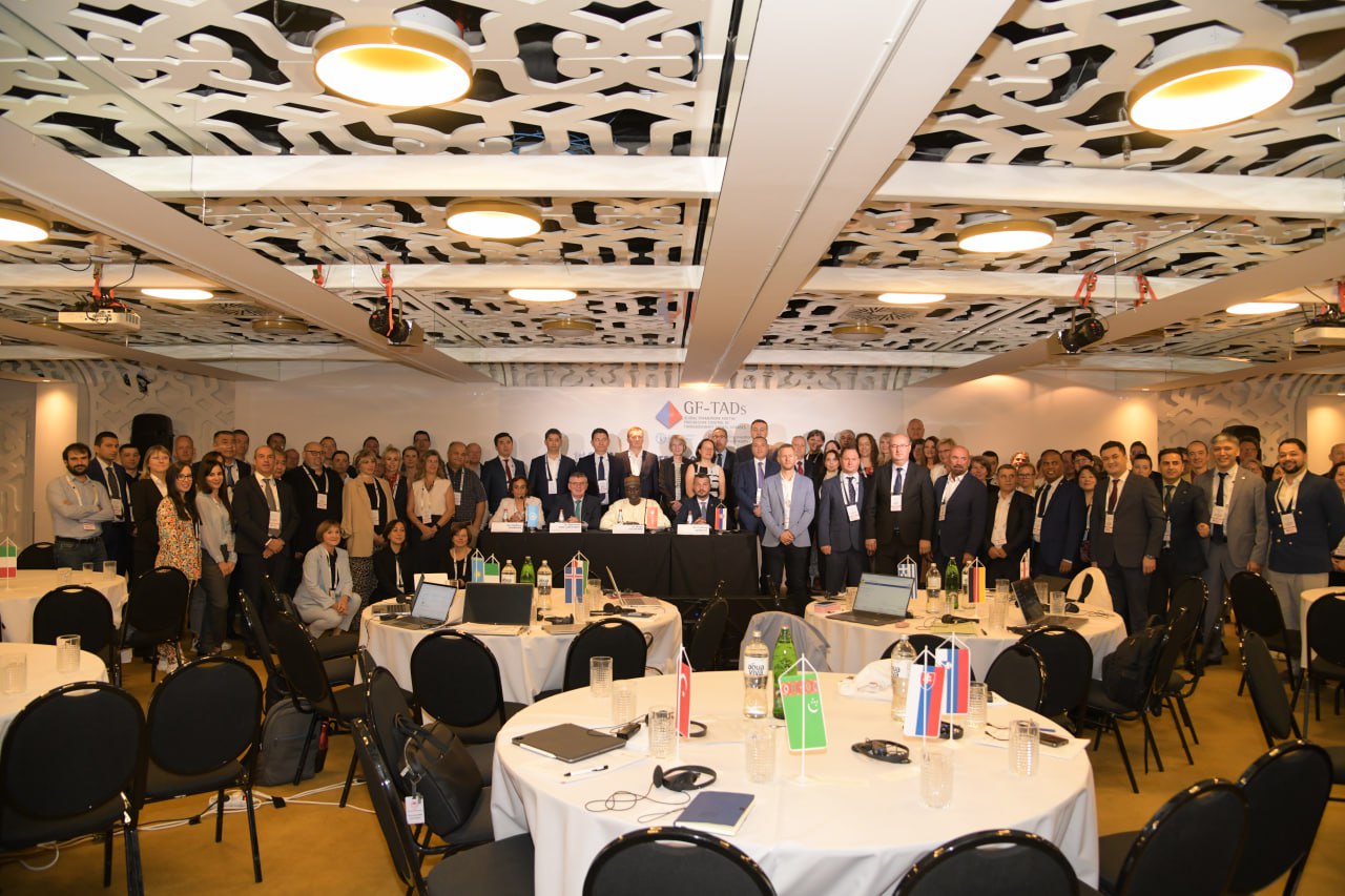 photo_2025-10-07_16-30-35_1759840256_1761652904.jpg photo_2025-10-07_16-30-35_1759840256_1761652904.jpg