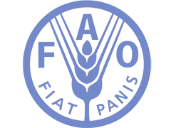 Պարենի և գյուղատնտեսության կազմակերպություն (FAO)