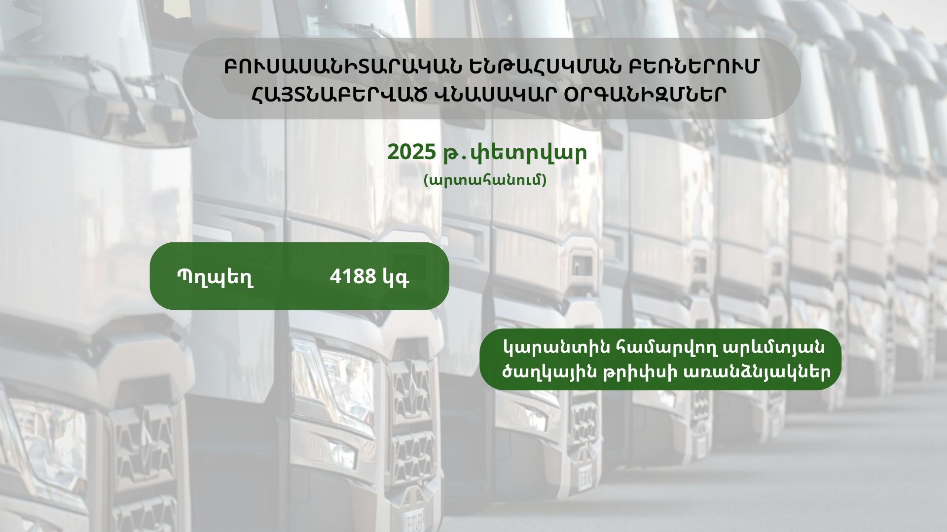 ԲՈՒՍԱՍԱՆԻՏԱՐԱԿԱՆ ԵՆԹԱՀՍԿՄԱՆ ԲԵՌՆԵՐՈՒՄ ՀԱՅՏՆԱԲԵՐՎԱԾ ՎՆԱՍԱԿԱՐ ՕՐԳԱՆԻԶՄՆԵՐ (2025 թ․փետրվար) ԲՈՒՍԱՍԱՆԻՏԱՐԱԿԱՆ ԵՆԹԱՀՍԿՄԱՆ ԲԵՌՆԵՐՈՒՄ ՀԱՅՏՆԱԲԵՐՎԱԾ ՎՆԱՍԱԿԱՐ ՕՐԳԱՆԻԶՄՆԵՐ (2025 թ․փետրվար)