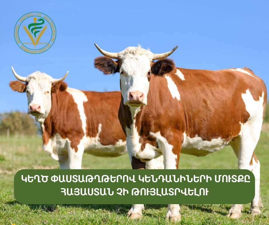 ԿԵՂԾ ՓԱՍՏԱԹՂԹԵՐՈՎ ԿԵՆԴԱՆԻՆԵՐԻ ՄՈՒՏՔԸ ՀԱՅԱՍՏԱՆ ՉԻ ԹՈՒՅԼԱՏՐՎԵԼՈՒ ԿԵՂԾ ՓԱՍՏԱԹՂԹԵՐՈՎ ԿԵՆԴԱՆԻՆԵՐԻ ՄՈՒՏՔԸ ՀԱՅԱՍՏԱՆ ՉԻ ԹՈՒՅԼԱՏՐՎԵԼՈՒ