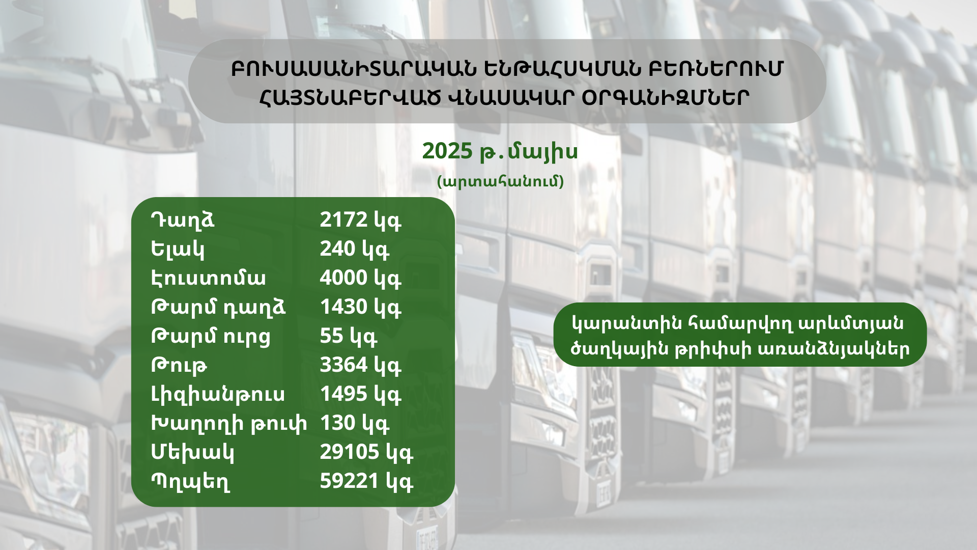 ԲՈՒՍԱՍԱՆԻՏԱՐԱԿԱՆ ԵՆԹԱՀՍԿՄԱՆ ԲԵՌՆԵՐՈՒՄ ՀԱՅՏՆԱԲԵՐՎԱԾ ՎՆԱՍԱԿԱՐ ՕՐԳԱՆԻԶՄՆԵՐ (2025 թ․ մայիս) ԲՈՒՍԱՍԱՆԻՏԱՐԱԿԱՆ ԵՆԹԱՀՍԿՄԱՆ ԲԵՌՆԵՐՈՒՄ ՀԱՅՏՆԱԲԵՐՎԱԾ ՎՆԱՍԱԿԱՐ ՕՐԳԱՆԻԶՄՆԵՐ (2025 թ․ մայիս)
