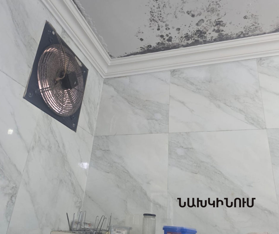 1_1753778423.png 1_1753778423.png