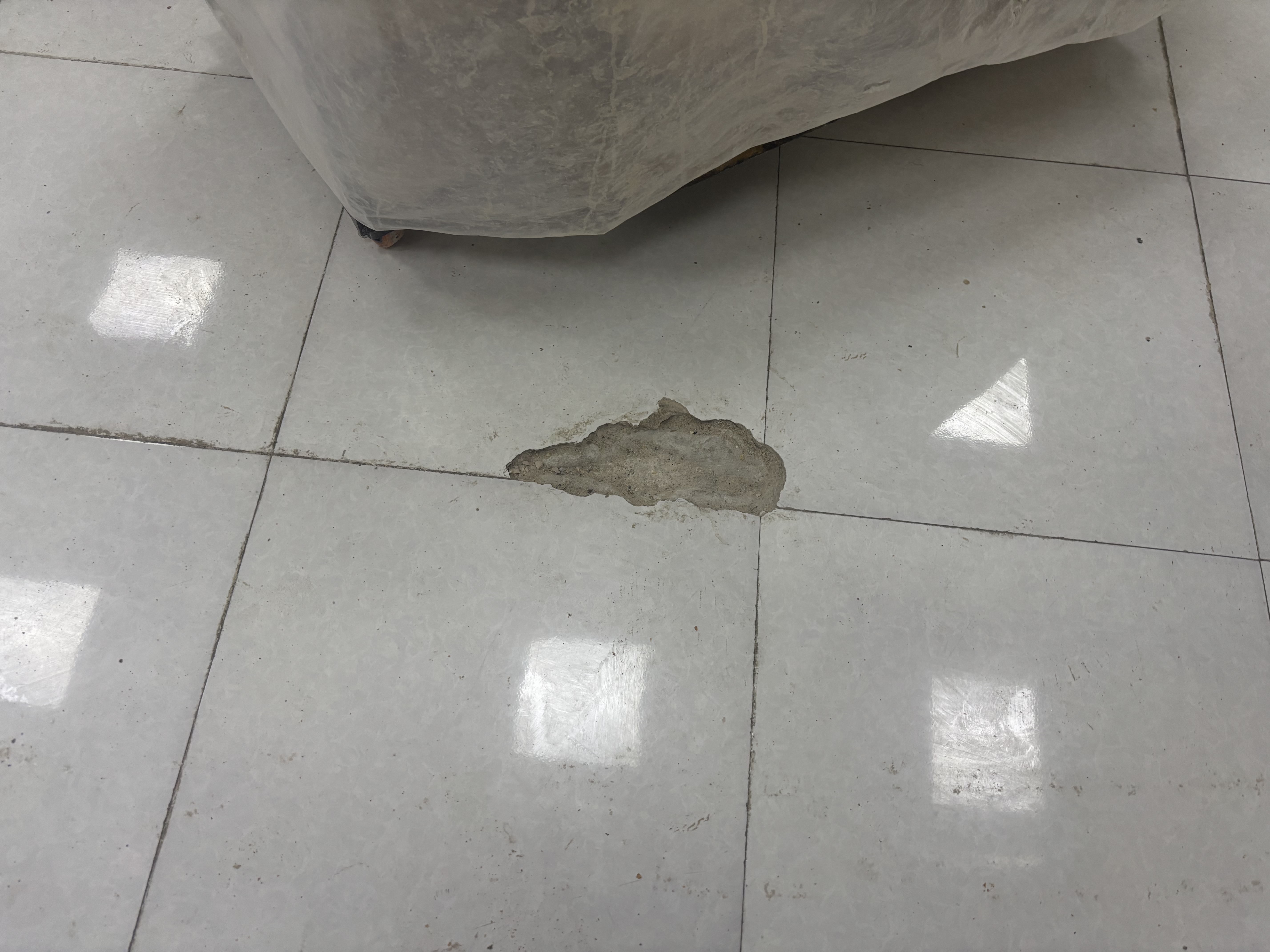 1_1761648253.jpg 1_1761648253.jpg