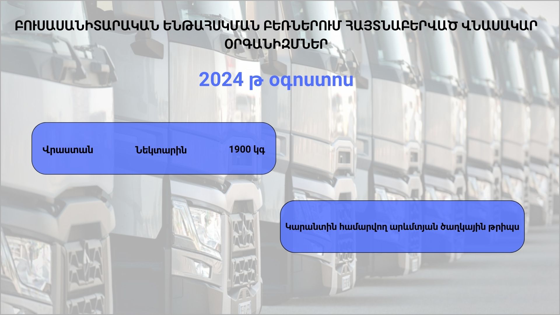 ԲՈՒՍԱՍԱՆԻՏԱՐԱԿԱՆ ԵՆԹԱՀՍԿՄԱՆ ԲԵՌՆԵՐՈՒՄ ՀԱՅՏՆԱԲԵՐՎԱԾ ՎՆԱՍԱԿԱՐ ՕՐԳԱՆԻԶՄՆԵՐ (2024 թ․ օգոստոս)