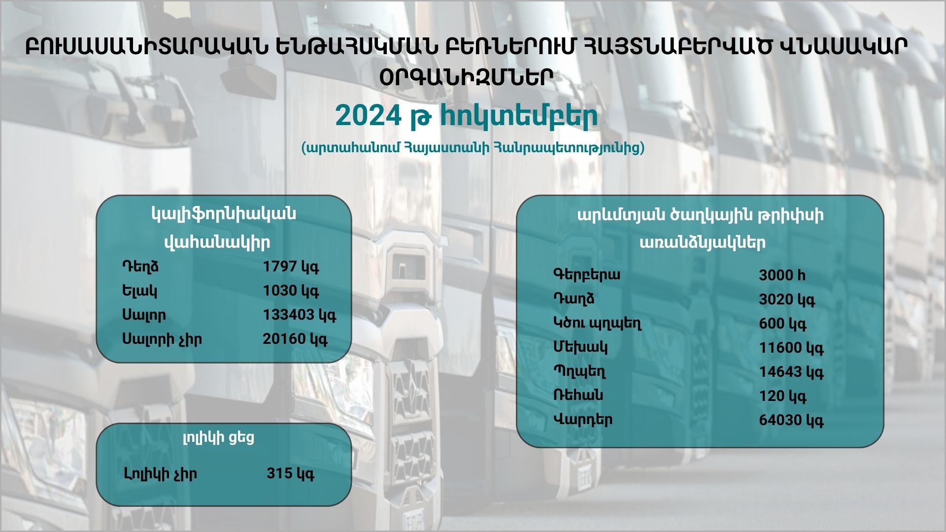 ԲՈՒՍԱՍԱՆԻՏԱՐԱԿԱՆ ԵՆԹԱՀՍԿՄԱՆ ԲԵՌՆԵՐՈՒՄ ՀԱՅՏՆԱԲԵՐՎԱԾ ՎՆԱՍԱԿԱՐ ՕՐԳԱՆԻԶՄՆԵՐ (2024 թ․հոկտեմբեր)