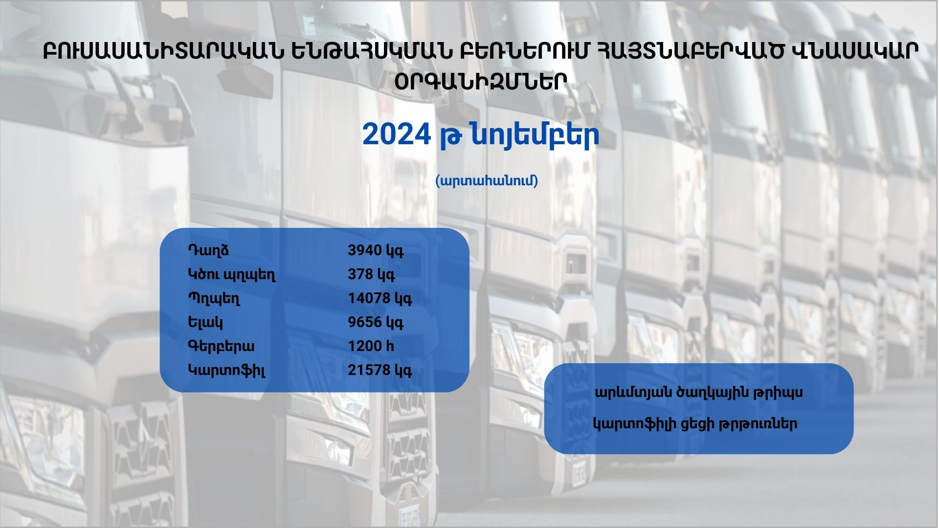 ԲՈՒՍԱՍԱՆԻՏԱՐԱԿԱՆ ԵՆԹԱՀՍԿՄԱՆ ԲԵՌՆԵՐՈՒՄ ՀԱՅՏՆԱԲԵՐՎԱԾ ՎՆԱՍԱԿԱՐ ՕՐԳԱՆԻԶՄՆԵՐ (2024 թ․նոյեմբեր)