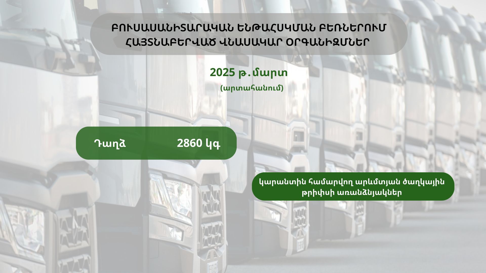 ԲՈՒՍԱՍԱՆԻՏԱՐԱԿԱՆ ԵՆԹԱՀՍԿՄԱՆ ԲԵՌՆԵՐՈՒՄ ՀԱՅՏՆԱԲԵՐՎԱԾ ՎՆԱՍԱԿԱՐ ՕՐԳԱՆԻԶՄՆԵՐ (2025 թ․մարտ) ԲՈՒՍԱՍԱՆԻՏԱՐԱԿԱՆ ԵՆԹԱՀՍԿՄԱՆ ԲԵՌՆԵՐՈՒՄ ՀԱՅՏՆԱԲԵՐՎԱԾ ՎՆԱՍԱԿԱՐ ՕՐԳԱՆԻԶՄՆԵՐ (2025 թ․մարտ)