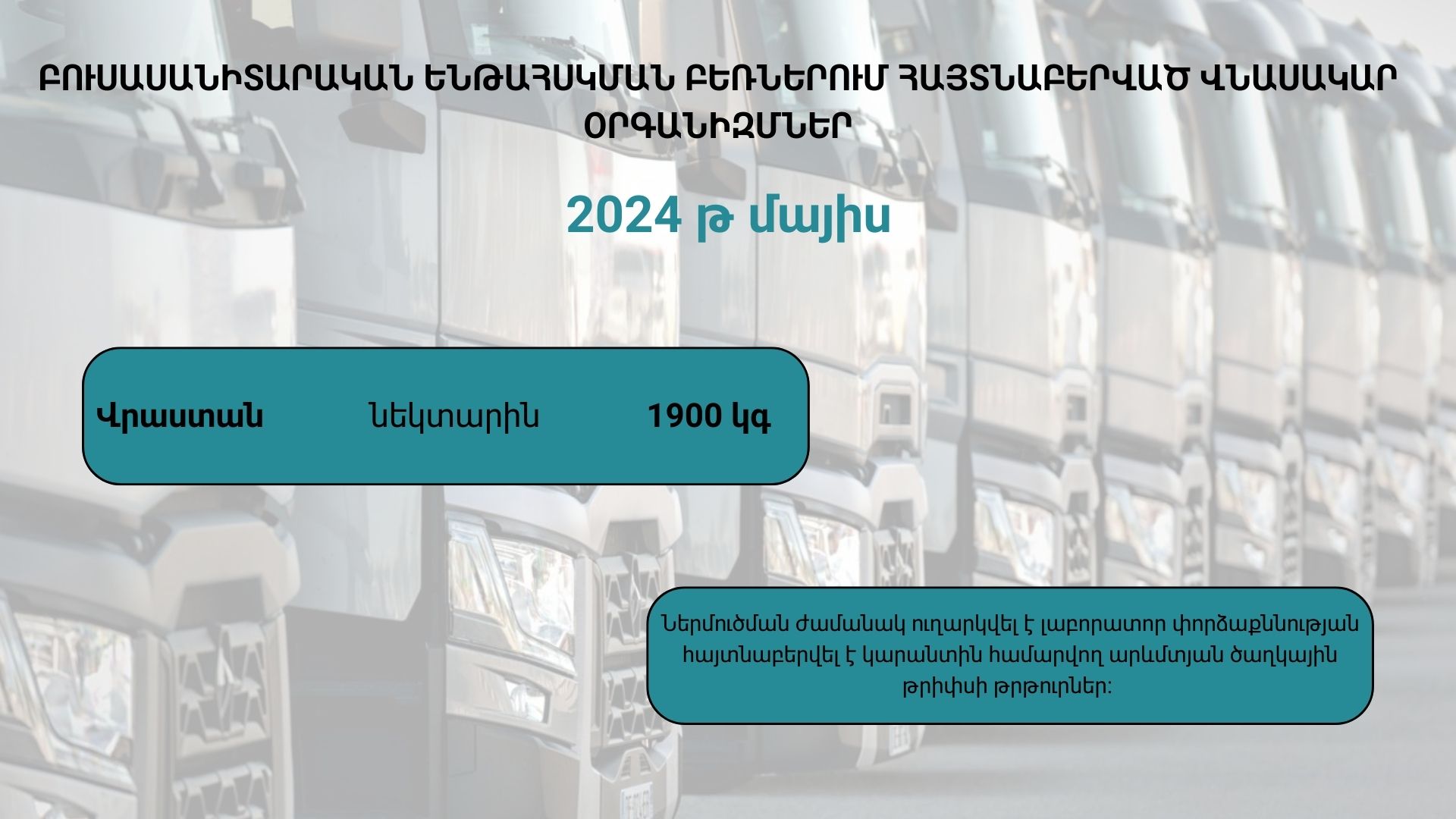 ԲՈՒՍԱՍԱՆԻՏԱՐԱԿԱՆ ԵՆԹԱՀՍԿՄԱՆ ԲԵՌՆԵՐՈՒՄ ՀԱՅՏՆԱԲԵՐՎԱԾ ՎՆԱՍԱԿԱՐ ՕՐԳԱՆԻԶՄՆԵՐ (2024 թ․ մայիս)