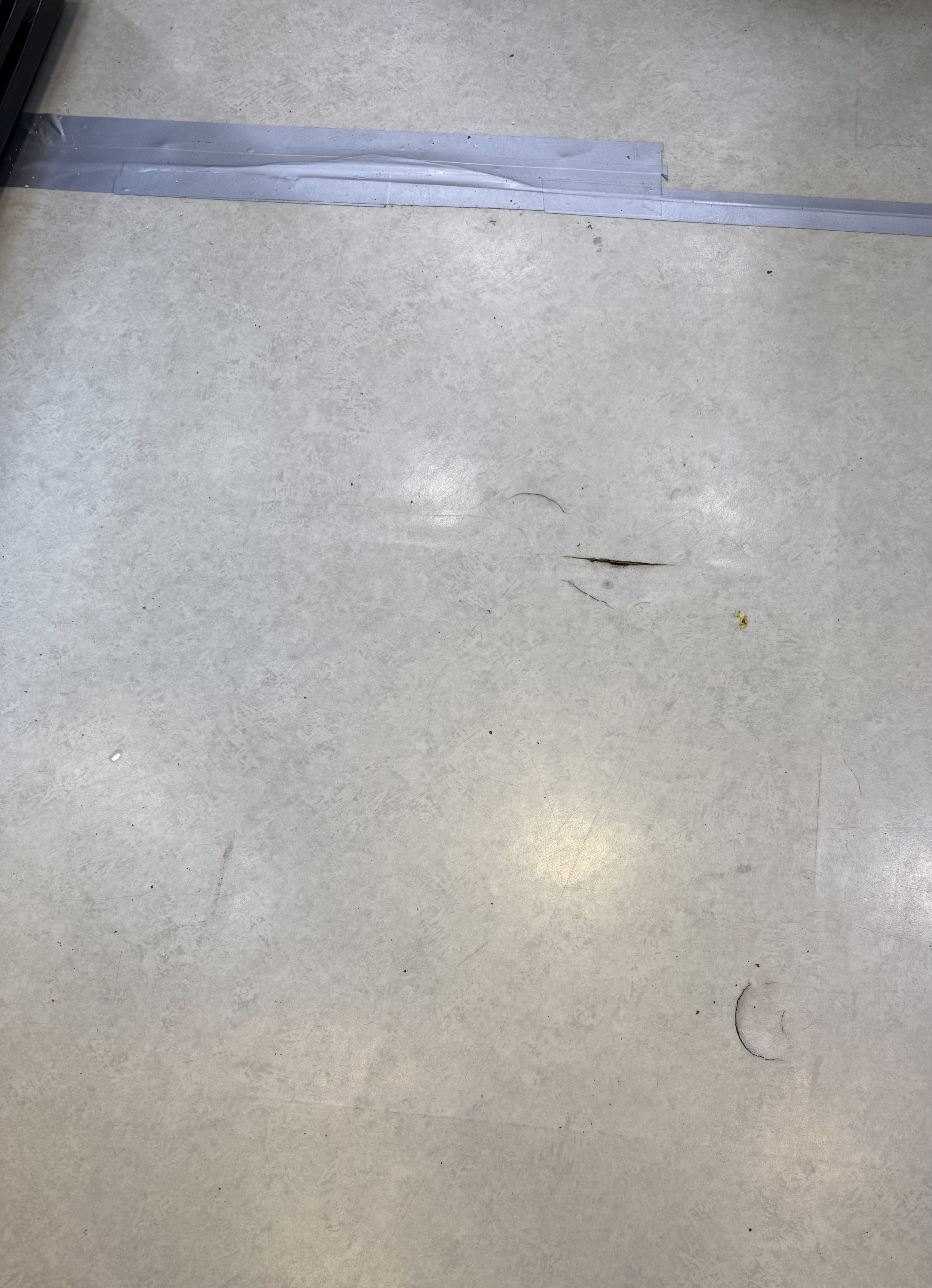 IMG_5468_1778667385.jpeg