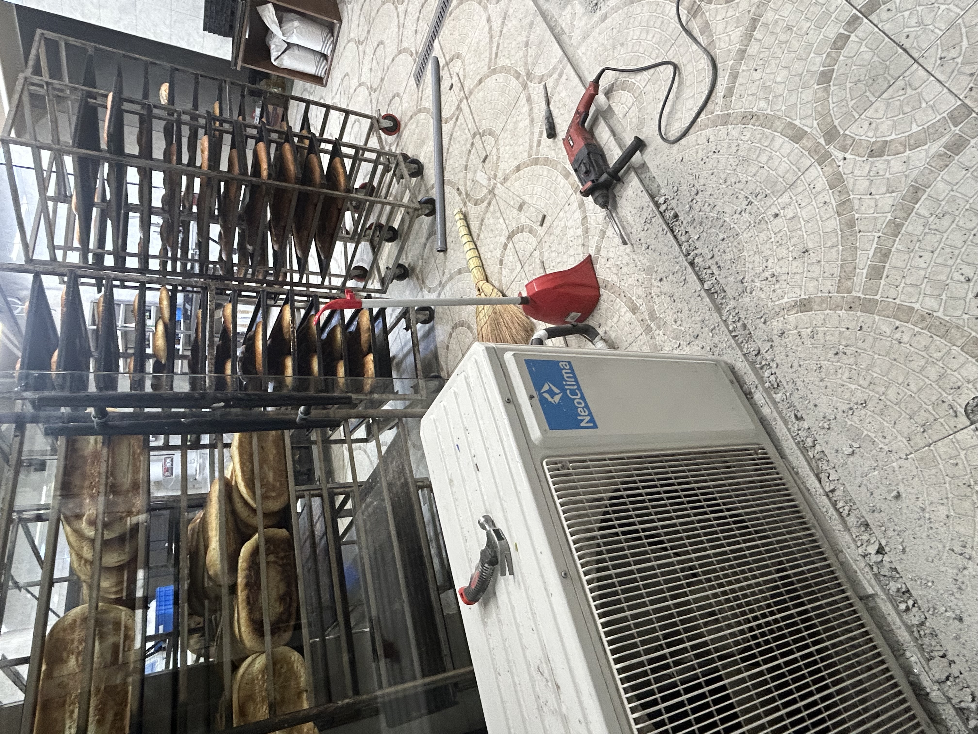 IMG_8693_1783343956.jpeg