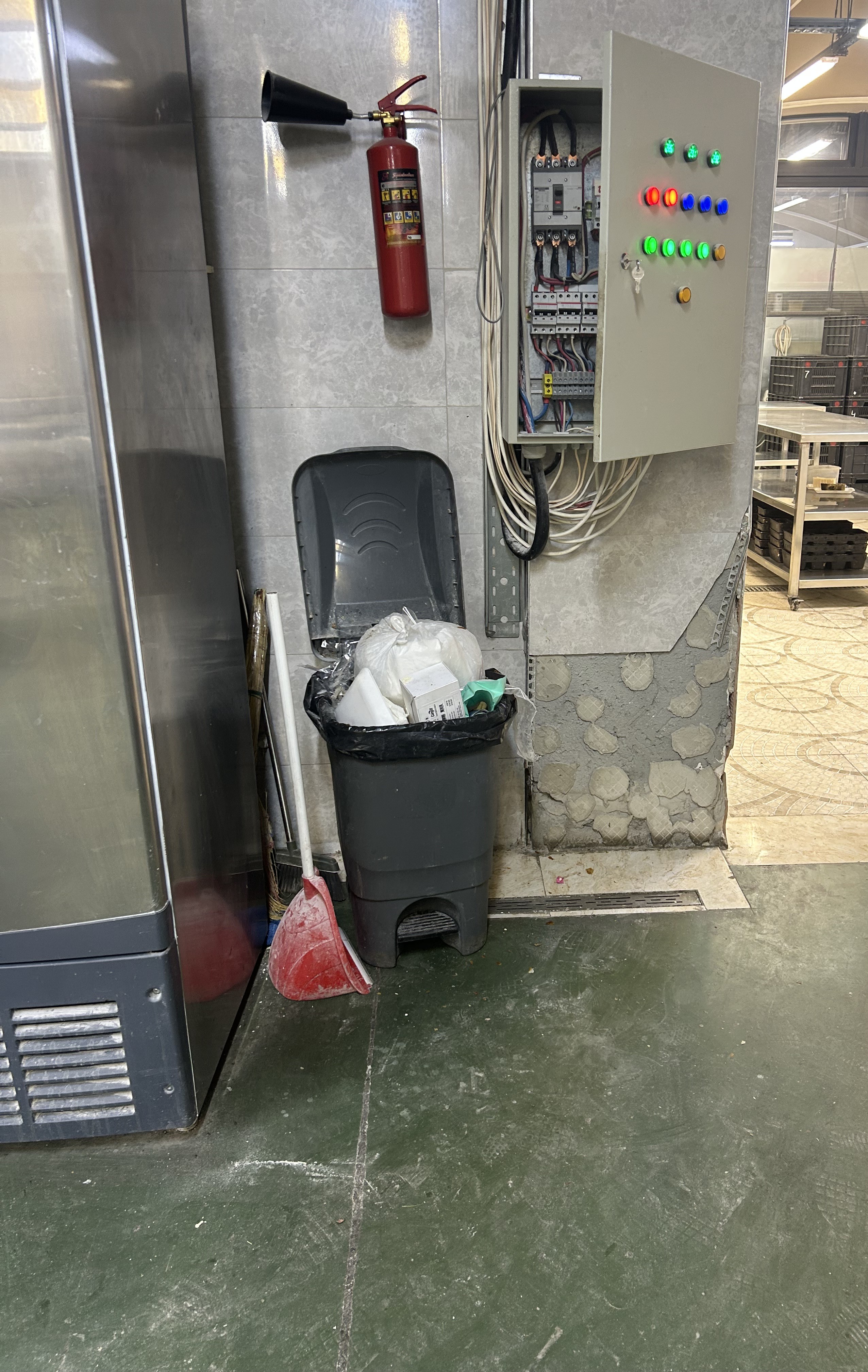 IMG_8703_1783343956.jpeg