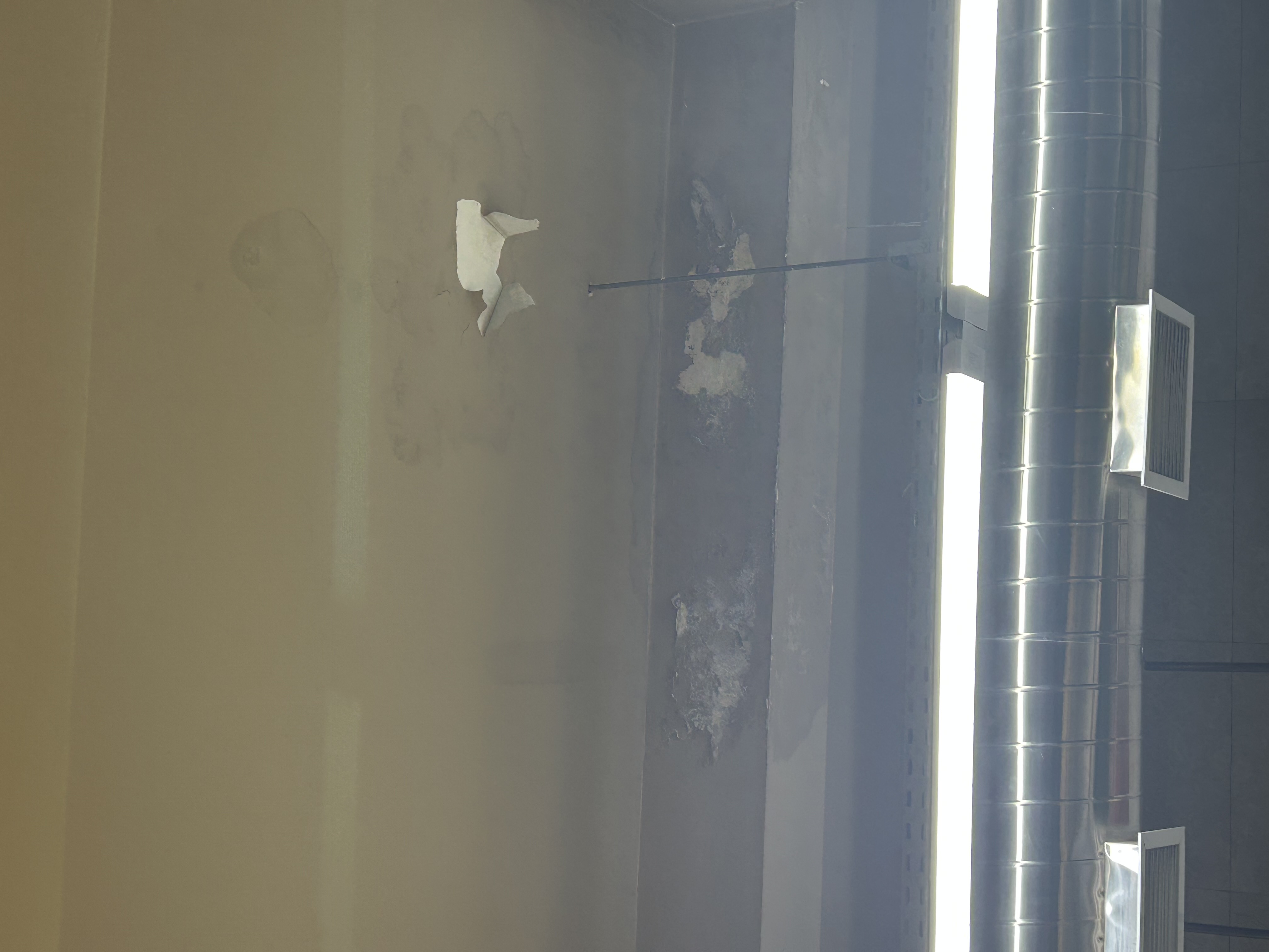 IMG_8709_1783343956.jpeg
