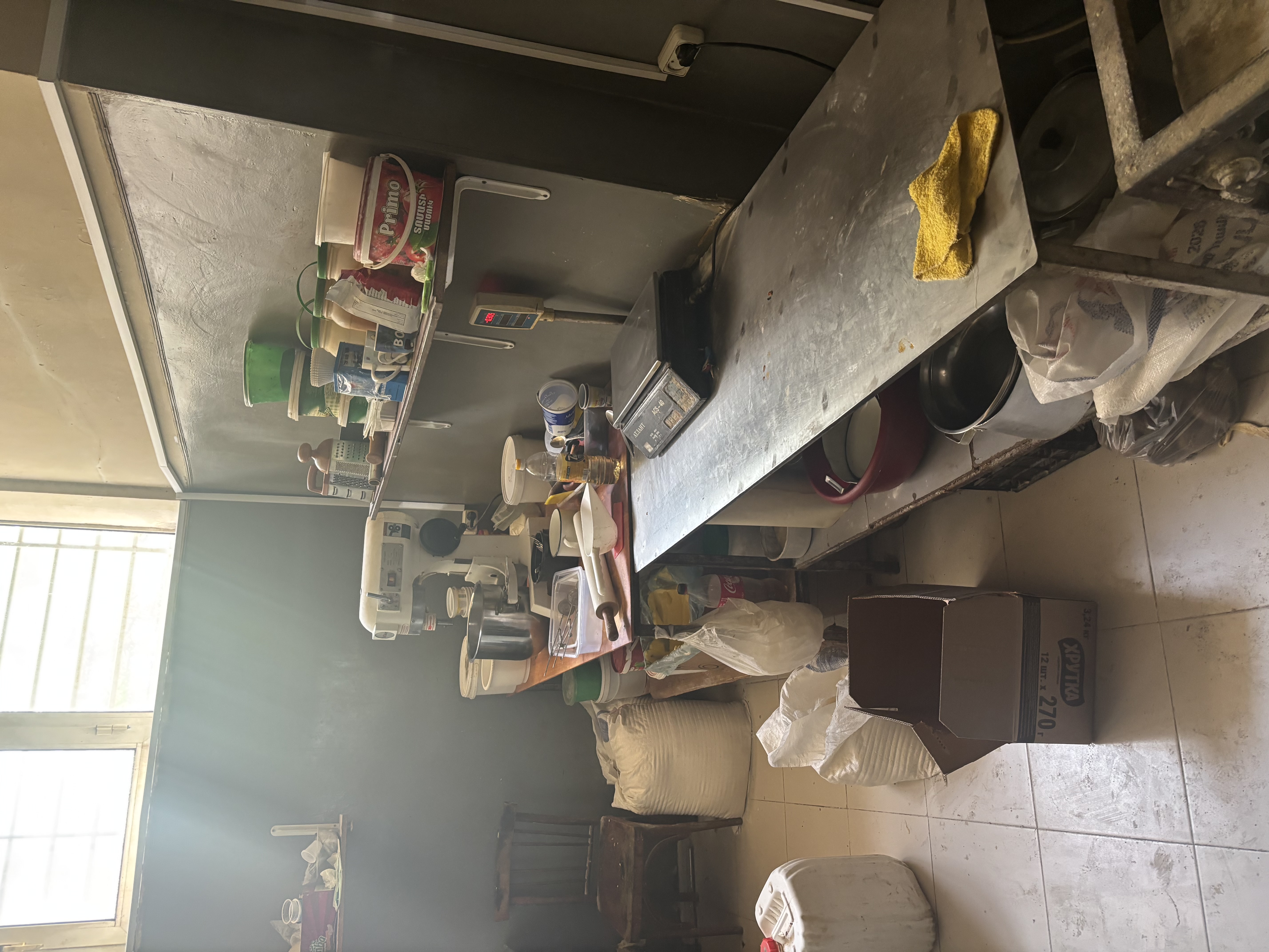 IMG_8811_1779088947.jpeg