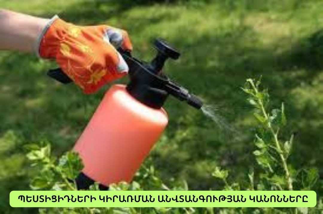 An image