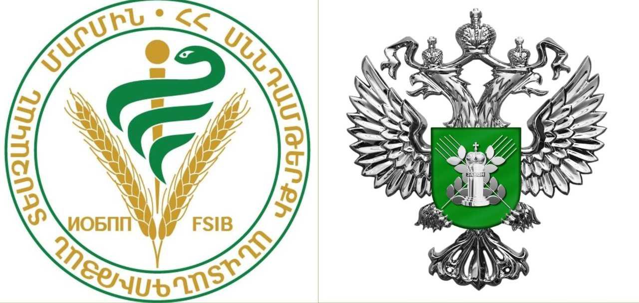 ՀԱՅՏԱՐԱՐՈՒԹՅՈՒՆ ՀԱՅՏԱՐԱՐՈՒԹՅՈՒՆ