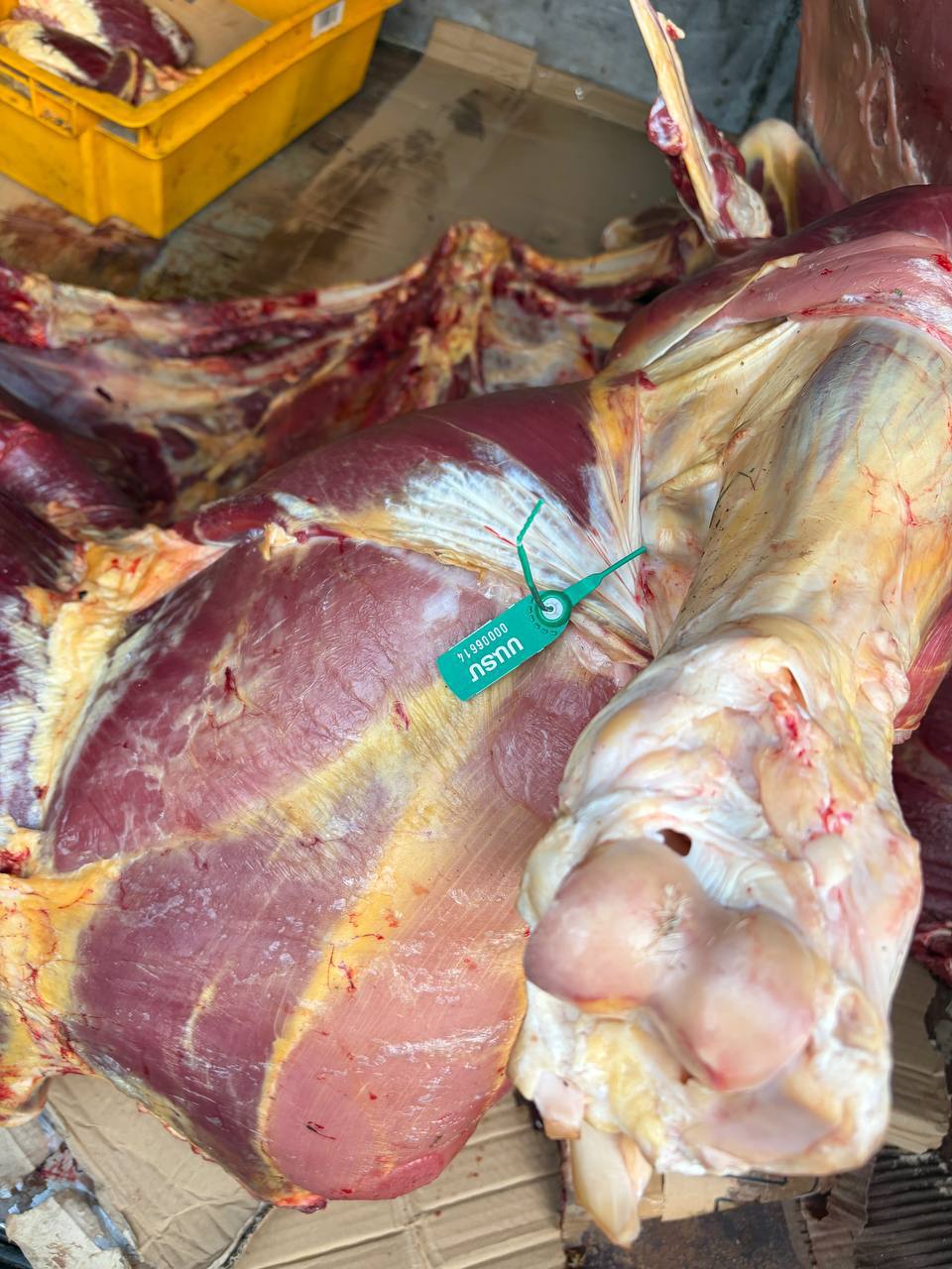 photo_2025-10-27_10-59-54_1761563674.jpg photo_2025-10-27_10-59-54_1761563674.jpg